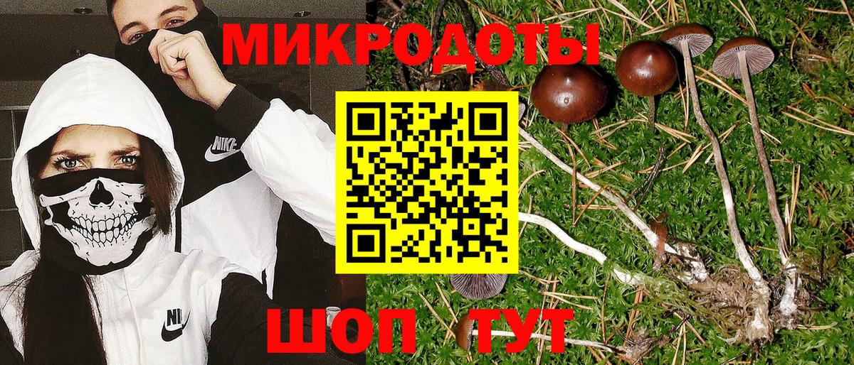 Псилоцибиновые грибы ЛСД Тайшет